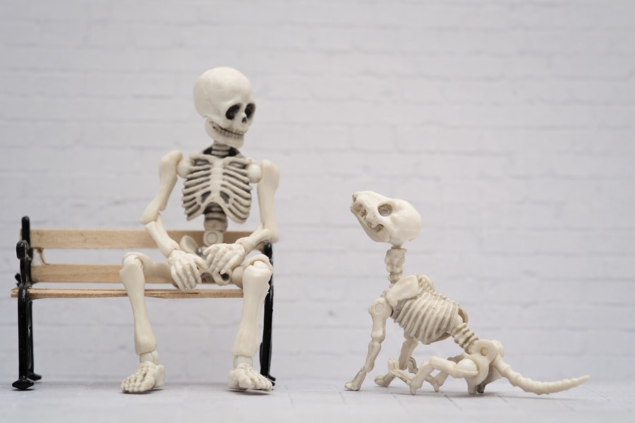 waiting for content