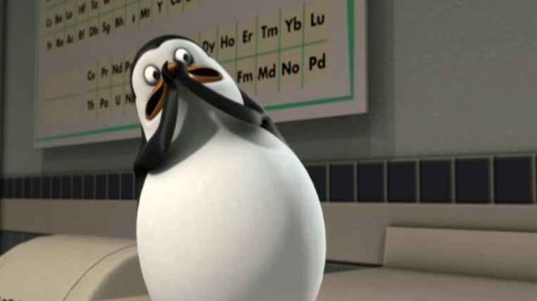 surprised penguin