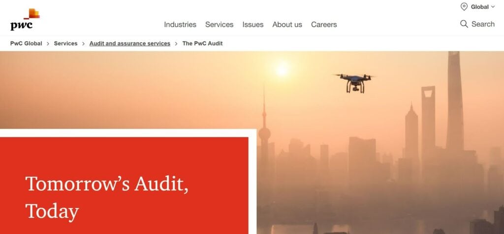 Top audit firms in the world