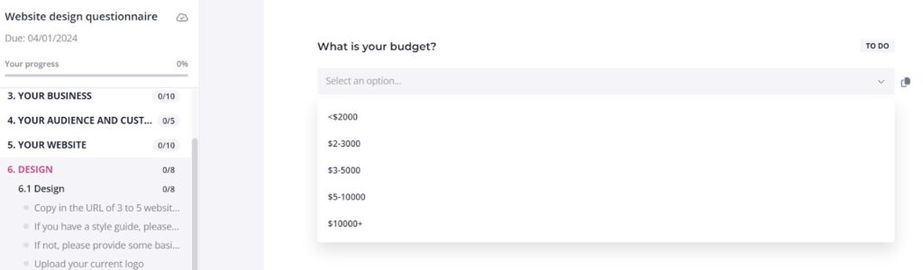 Content Snare website design questionnaire